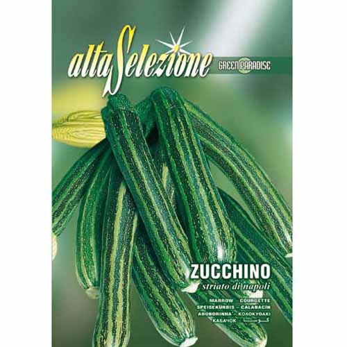 Dovlecel zucchini Striato di Napoli imagine 1 articol 96380