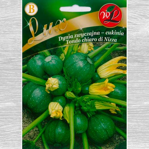 Dovlecel zucchiniTondo chiaro di Nizza articol fotografie 1 Dovlecel zucchiniTondo chiaro di Nizza imagine 1 articol 69466