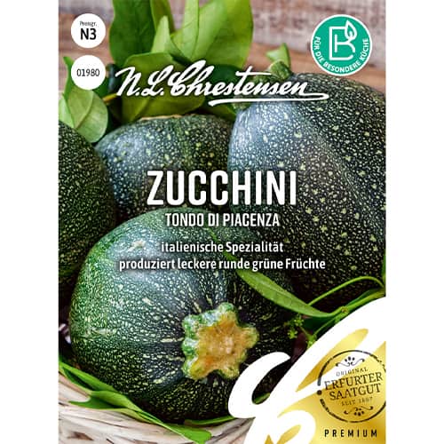 Dovlecel zucchini Tondo di Piacenza articol fotografie 1 Dovlecel zucchini Tondo di Piacenza imagine 1 articol 69222