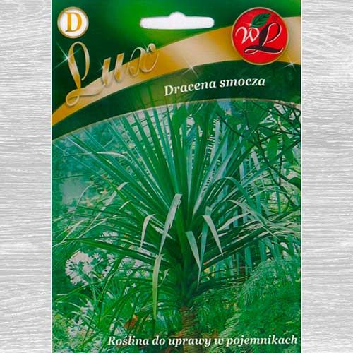 Dracena (Copacul dragon) imagine 1 articol 78668
