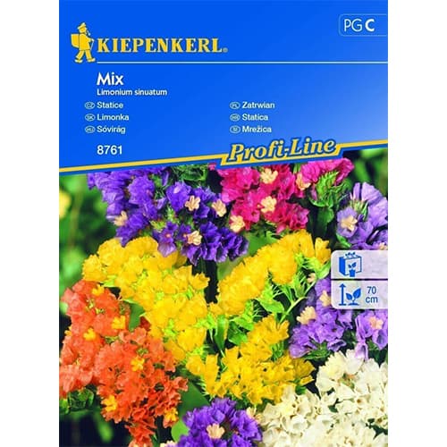Limonium sinuatum (Sărăturică), mix multicolor articol fotografie 1 Limonium sinuatum (Sărăturică), mix multicolor imagine 1 articol 69334