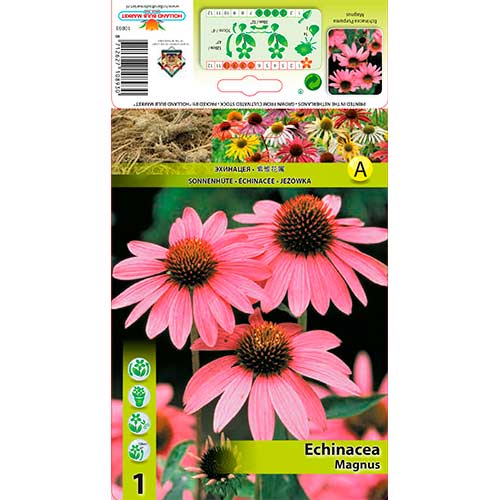 Echinacea Magnus imagine 1 articol 76625