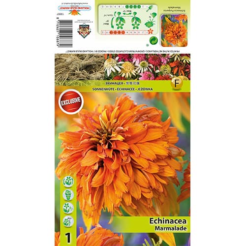 Echinacea Marmalade imagine 1 articol 77832