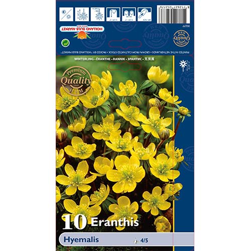 Erantis Hyemalis imagine 1 articol 68052