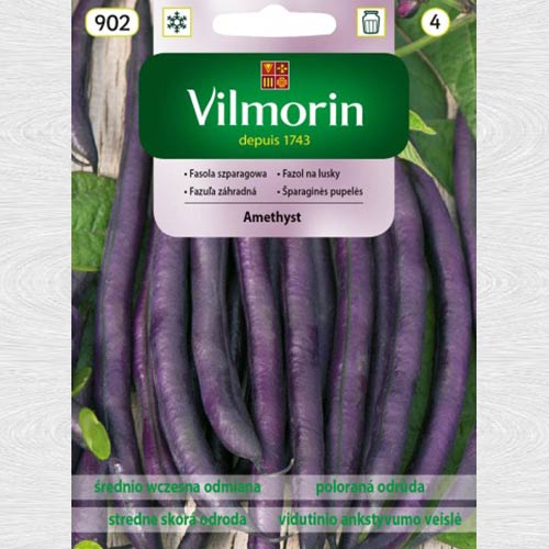 Fasole Amethyst imagine 1 articol 69728