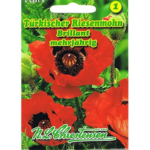 Mac de grădină Brillant imagine 1 articol 78831