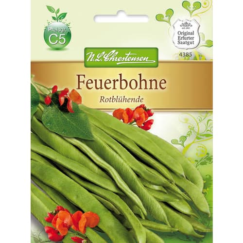 Fasole decorativă Rotbluhende imagine 1 articol 78829