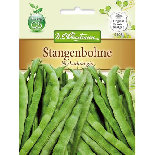 Fasole Neckar Queen articol fotografie 1 Fasole Neckar Queen imagine 1 articol 78836