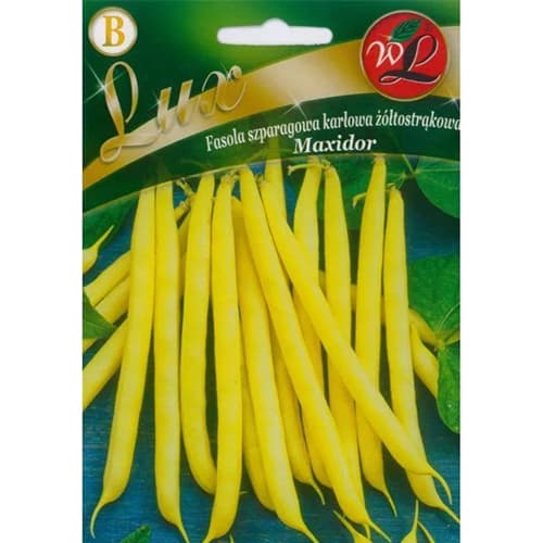 Fasole pitică Maxidor imagine 1 articol 96818
