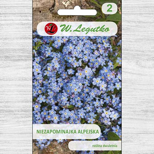 Floare de nu mă uita, albastră Legutko articol fotografie 1 Floare de nu mă uita, albastră Legutko imagine 1 articol 78614