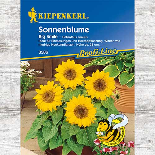 Floarea soarelui decorativă Big Smile imagine 1 articol 69309