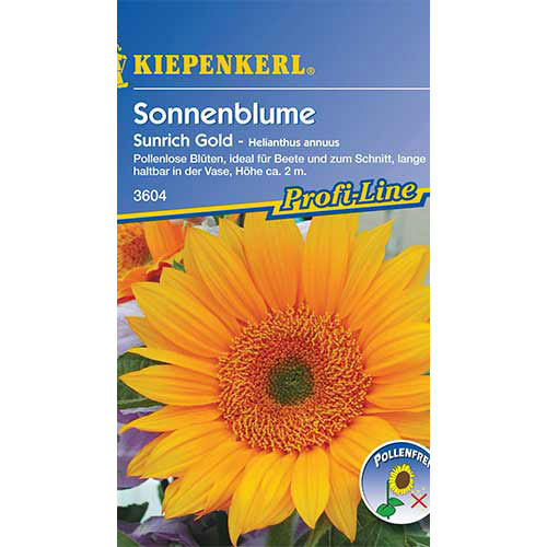 Floarea soarelui decorativă Sunrich Gold F1 Kiepenkerl articol fotografie 1 Floarea soarelui decorativă Sunrich Gold F1 Kiepenkerl imagine 1 articol 86328