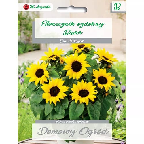 Florea soarelui decorativă Baver articol fotografie 1 Florea soarelui decorativă Baver imagine 1 articol 69662