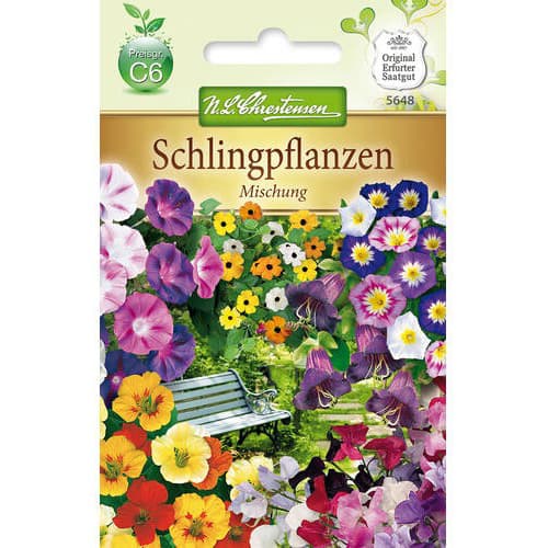 Flori cățărătoare, mix multicolor imagine 1 articol 78989