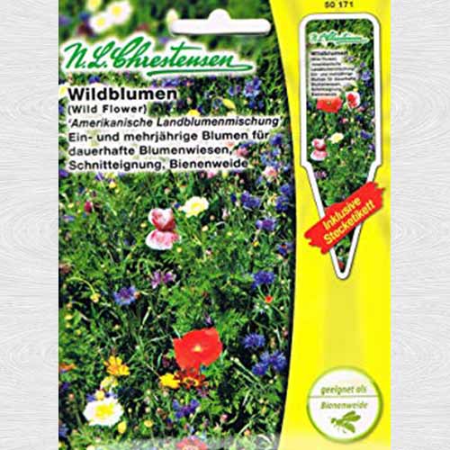 Flori de câmp American Mix, mix multicolor imagine 1 articol 69413