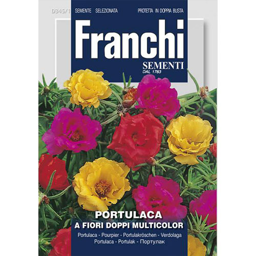 Flori de piatră cu flori duble, mix multicolor articol fotografie 1 Flori de piatră cu flori duble, mix multicolor imagine 1 articol 87311