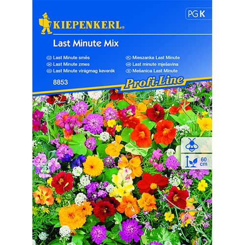 Flori Last Minute, mix multicolor imagine 1 articol 87744