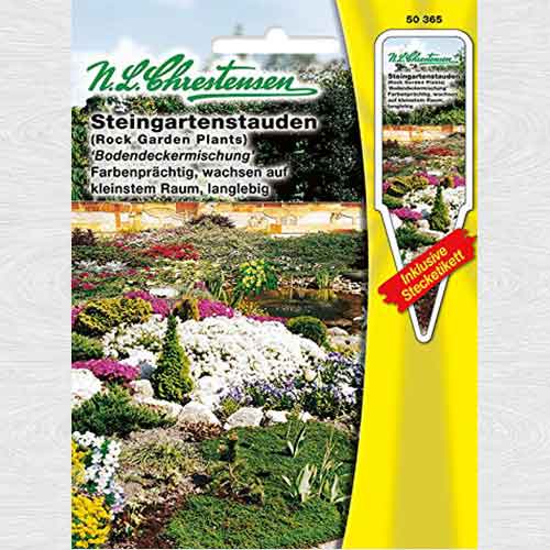 Flori perene de stâncă, mix multicolor imagine 1 articol 69382