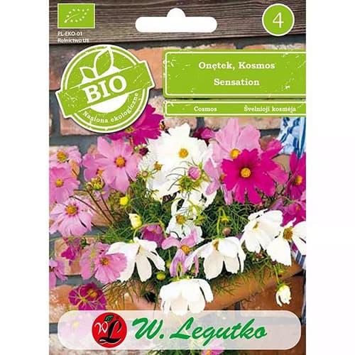 Flururaș Kosmos, mix multicolor imagine 1 articol 87085