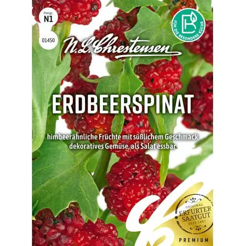 Fragă tătărască imagine 1 articol 96472