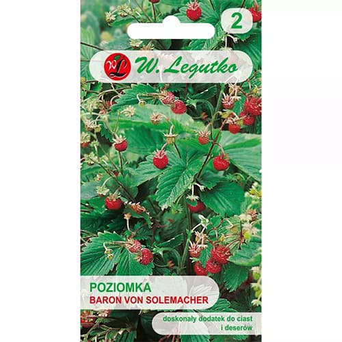 Fragi Baron von Solemacher articol fotografie 1 Fragi Baron von Solemacher imagine 1 articol 69529