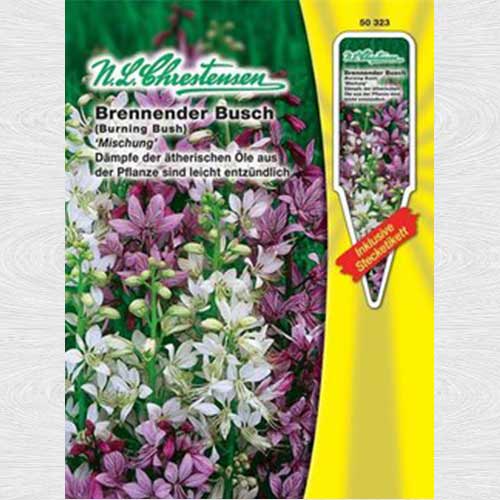 Frăsinel, mix multicolor imagine 1 articol 69296