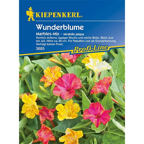 Frumoasa nopții (Mirabilis) Marbles, mix multicolor articol fotografie 1 Frumoasa nopții (Mirabilis) Marbles, mix multicolor imagine 1 articol 87762