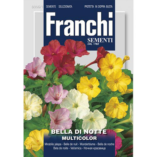 Frumoasa nopții, mix multicolor articol fotografie 1 Frumoasa nopții, mix multicolor imagine 1 articol 87316