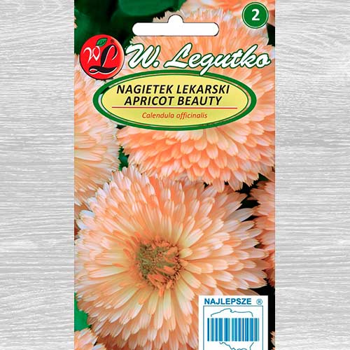 Gălbenele Apricot Beauty Legutko articol fotografie 1 Gălbenele Apricot Beauty Legutko imagine 1 articol 69611