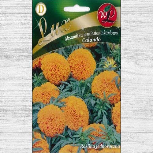 Gălbenele Calando portocalii Legutko imagine 1 articol 78653