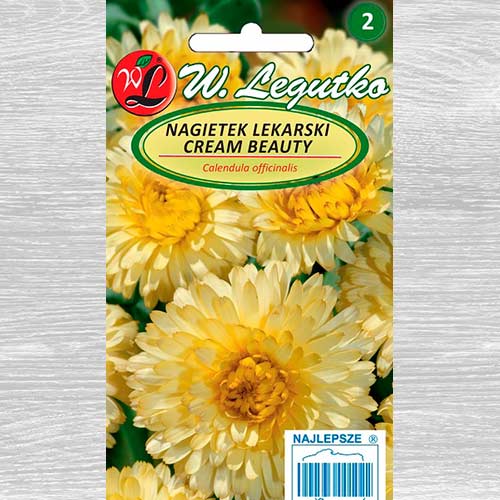 Gălbenele Cream Beauty Legutko articol fotografie 1 Gălbenele Cream Beauty Legutko imagine 1 articol 69612