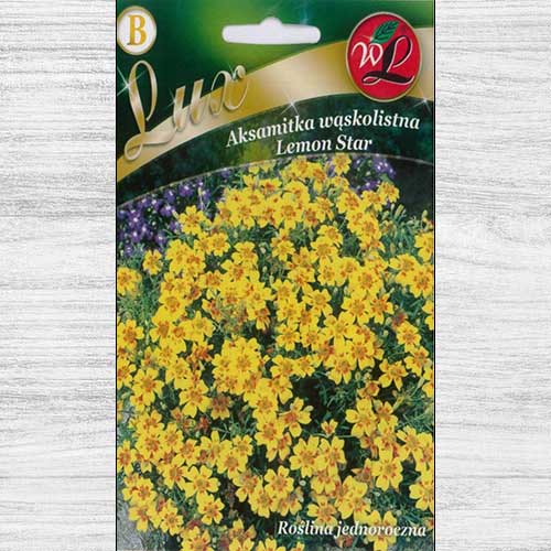 Crăițe Lemon Star articol fotografie 1 Crăițe Lemon Star imagine 1 articol 78651