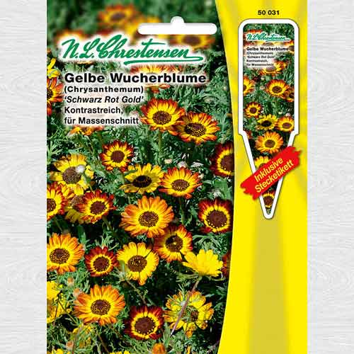 Gălbenele, mix multicolor imagine 1 articol 69272