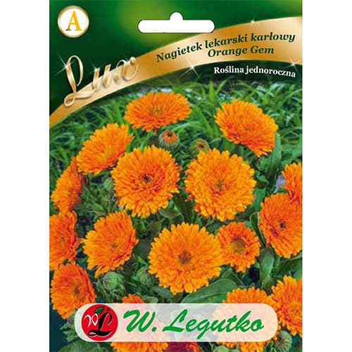 Gălbenele Orange Gem imagine 1 articol 86749