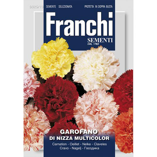 Garoafă de Nisa, mix multicolor articol fotografie 1 Garoafă de Nisa, mix multicolor imagine 1 articol 87317
