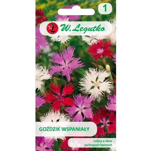 Garoafă minunata, Mix Legutko articol fotografie 1 Garoafă minunata, Mix Legutko imagine 1 articol 50103