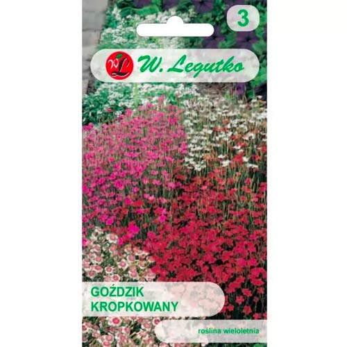 Garoafa pătată, Mix Legutko imagine 1 articol 50100