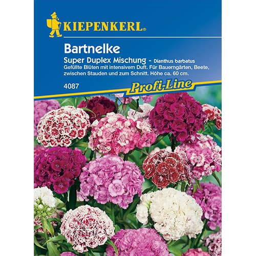 Garoafă turcească Duplika articol fotografie 1 Garoafă turcească Duplika imagine 1 articol 86250