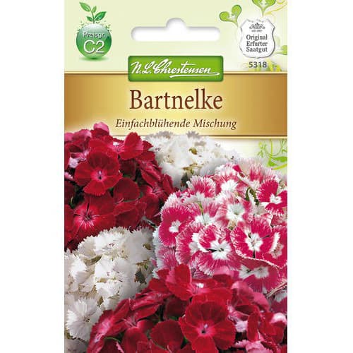 Garoafă turcească, mix multicolor imagine 1 articol 78955