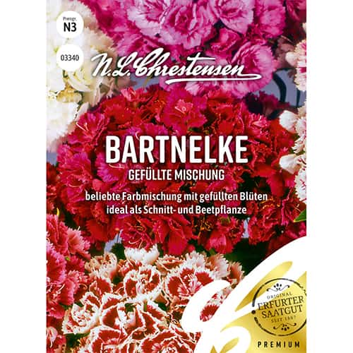 Garoafă turcească perenă, mix multicolor imagine 1 articol 86122