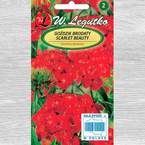 Garoafă turcească Scarlet Beauty Legutko imagine 1 articol 69591