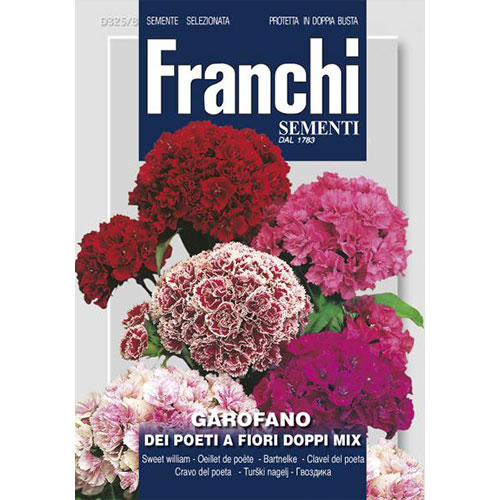 Garofiță de grădină cu flori duble, mix multicolor articol fotografie 1 Garofiță de grădină cu flori duble, mix multicolor imagine 1 articol 87318
