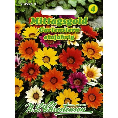 Gazania (Floarea comoară) Garden Show imagine 1 articol 96423