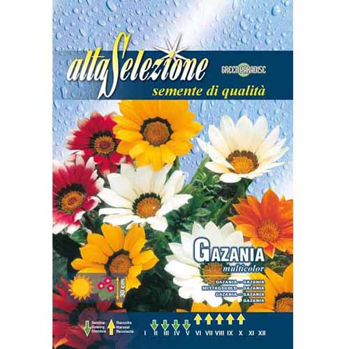 Gazania (Floarea comoară) mix multicolor imagine 1 articol 96343