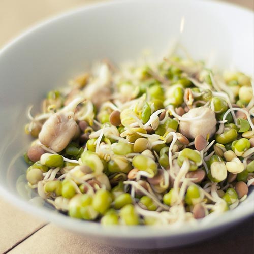 Germeni amestec bogat proteic articol fotografie 1 Germeni amestec bogat proteic imagine 1 articol 66955