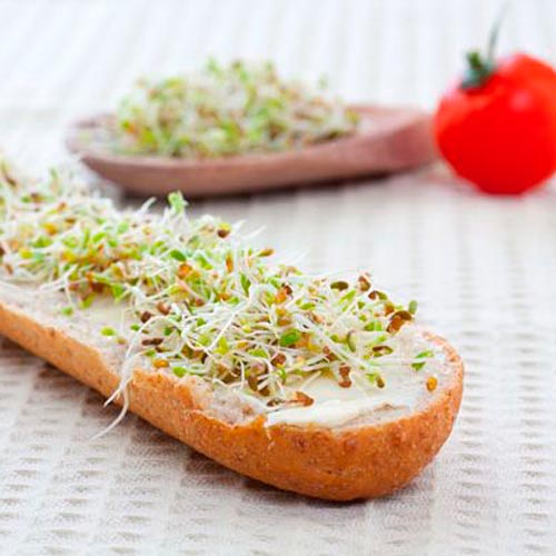 Germeni amestec dietetic articol fotografie 1 Germeni amestec dietetic imagine 1 articol 66949