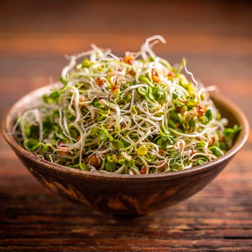 Germeni Schinduf imagine 1 articol 66934