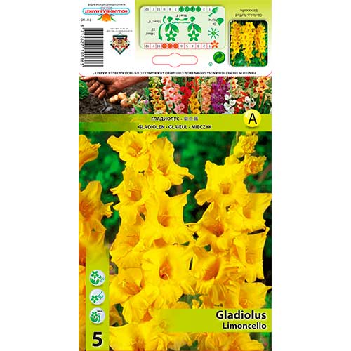 Gladiole Ruffled Limoncello imagine 1 articol 76251