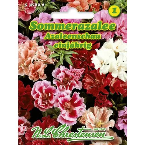 Godelia Azaleea Show imagine 1 articol 96424