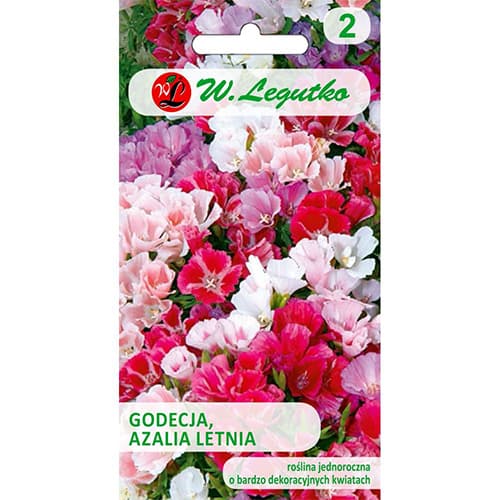 Godetia, mix multicolor imagine 1 articol 78561